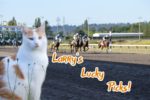 Emerald Downs: The “Pawfessional” Handicapper; Larry the SportsCat’s Lucky Picks!