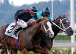 Horse Racing: Washington Summer Yearling and Mixed Sale Just Days Away