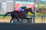 Horse Racing: Emerald Downs draws for Championship Weekend including 91st Longacres Mile