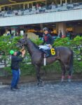 Emerald Downs: Jockey Power Rankings #3; Negron surges, Valdes serves notice, Radke digs in