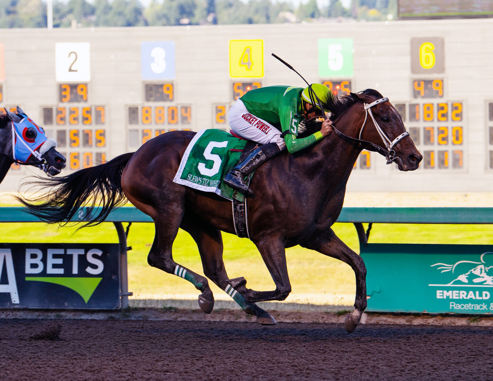 Emerald Downs Larrys Week in Review, Cruz hits career win #800, Zunino-Wenzel sweep Stakes, 15k Pick 6 Payout and more