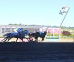 Emerald Downs Sunday: Corgi’s invade; Rich Gold scores in the Feature; Krigger wins 4!