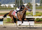 Emerald Downs Sunday: Sir Greyson takes the Feature; Rosales surges to top of trainer’s standings