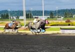 Emerald Downs Sunday: Executive Chef takes the Feature in a tight finish; Chinook Pass honored