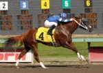 Emerald Downs Saturday: Clubhouse Drama dominates; Pick 6 carryover nears 30k