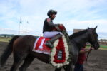Emerald Downs: 2025 Final Stats and a few recommendations for 2026