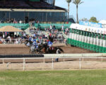 Horse Racing; Turf Paradise setting up for new operators/owners