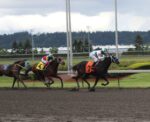 Emerald Downs: Napoleon Solo takes the Preakness; Tax Code wins Emerald Feature