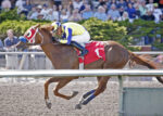 Emerald Downs: Si That Tiger blaze in 1st Feature, Too Sassy takes 2nd; Amador takes them both