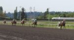 Emerald Downs: Memorial Day Racing features Chuck Potter Memorial