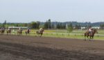 Emerald Downs: Maximum Sparkle Shines in Saturday Feature