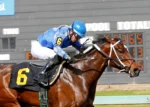 Emerald Downs: Knaughty Knight rolls in the Irish Day Feature Race