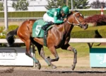 Emerald Downs: LaPush dominates Saturday Feature hands Tom Wenzel 500th Emerald training win