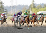 Horse Racing: Emerald Downs HOF Day and kick-off to Championship Sunday with 2 QH Stakes
