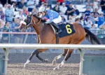 Horse Racing: Coastal Jazz takes Owner’s Handicap, Castellanos triples again, Howie Gibson doubles on Italian Day